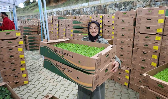 Gebzeli çiftçiye 500 bin sebze fidesi