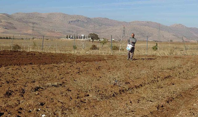 Gercüş'te çiftçiler tohumlarını toprakla buluşturuyor