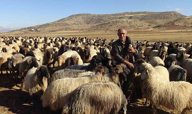 Gercüş'te göçerlerin zorlu yolculuğu