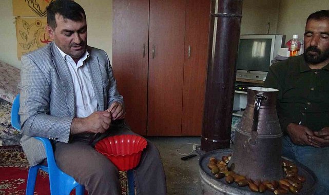 Gercüş'ün 'Doğu kestanesi': Organik meşe palamudu kış sofralarının vazgeçilmezi oluyor