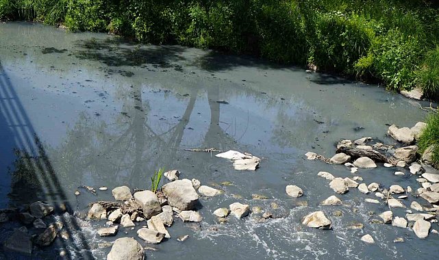 Gerede'de fabrikaların zehrini kustuğu derenin yeniden davası görülecek