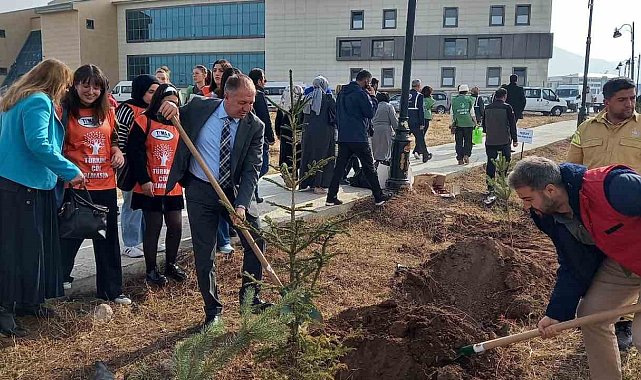 GSİM spor kampüslerine meyve ağacı dikti