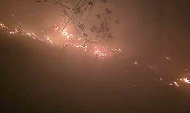 Hatay'da yıldırımın düştüğü ormanlık alanda yangın çıktı