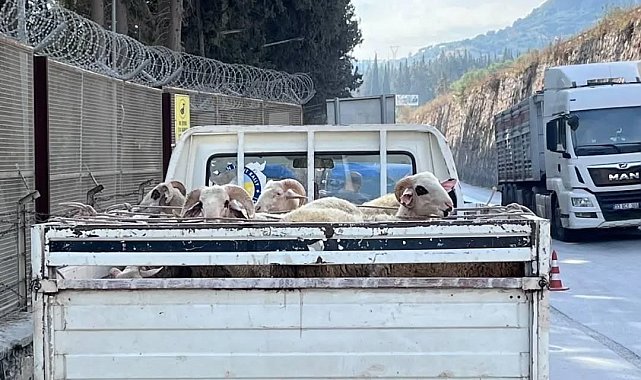 Hayvan hastalıkları ile mücadelede yol kontrolleri devam ediyor