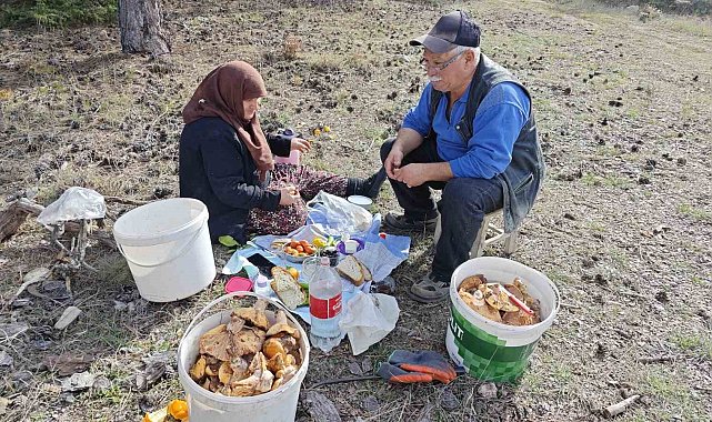 Hisarcık'ta yaşlı çiftin mantar mesaisi