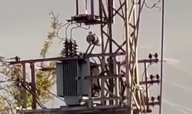 Iğdır'da elektrik trafosunda yangın paniği