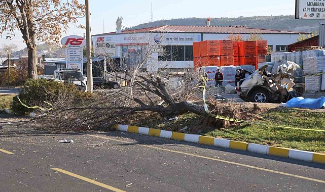 İkiye bölünen otomobil, genç arkadaşlara mezar oldu