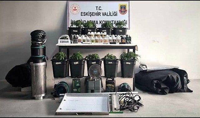 İklimlendirme sistemi kurup kenevir yetiştiren 3 kişi yakalandı