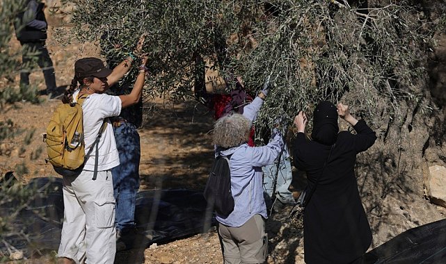 İsrail, geçtiğimiz ay Batı Şeria'da 2 bin 350 saldırı gerçekleştirdi