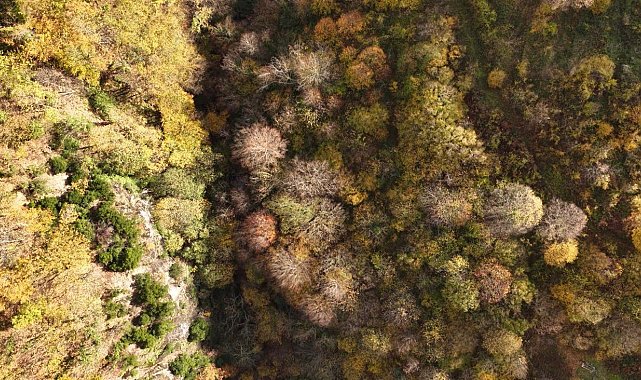 İstanbul'un yanı başında sonbahar rotası