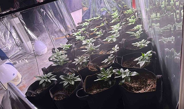 İzmir'de uyuşturucu operasyonunda 1 tutuklama