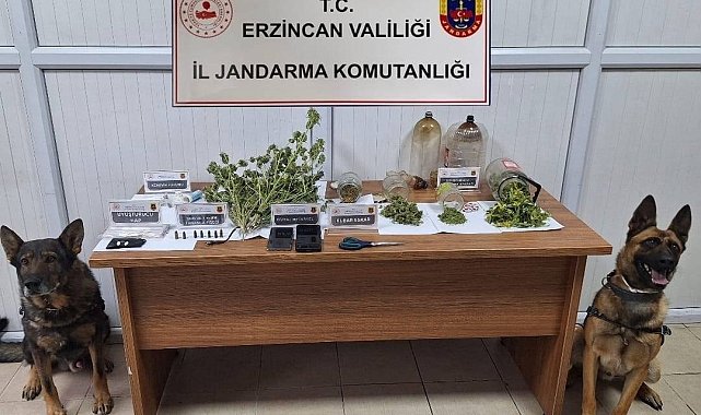Jandarma Kasım ayı bilançosu: 124 olayın yüzde 93'ü aydınlatıldı