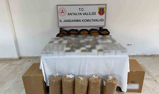 Kaçak tütün operasyonu