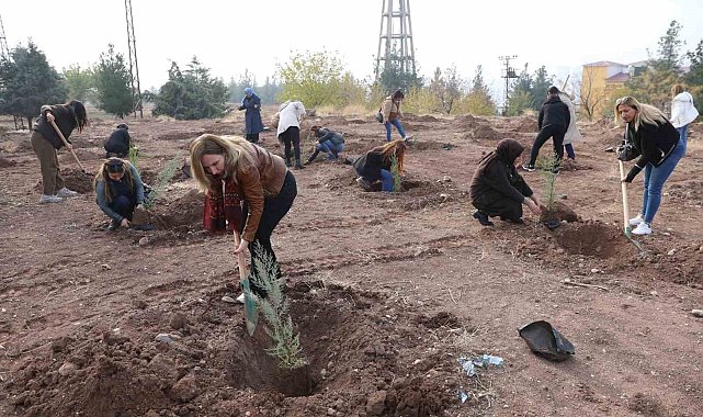 Kadına yönelik şiddete dikkat çekmek amacıyla fidan dikim etkinliği yapıldı