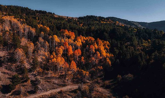 Karagöl Tabiat Parkı'nda sonbahar, renkli görüntüler oluşturdu