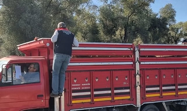 Karpuzlu'da hayvan sevkiyatına denetim