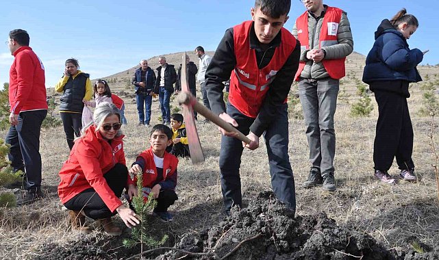 Kars'ta 5 bin 500 fidan toprakla buluştu