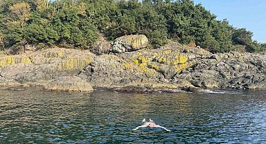 Kasımda deniz keyfi: Giresun Valisi Serdengeçti, adada yüzdü