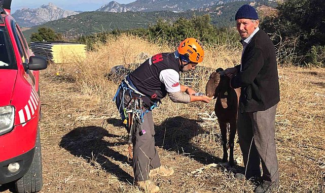 Kaya oyuğuna düşen ve 3 gün mahsur kalan keçi, film gibi operasyonla kurtarıldı