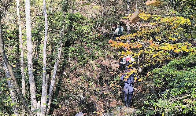 Kayıp annenin cesedini kuzgunu takip eden vatandaşlar bulmuş