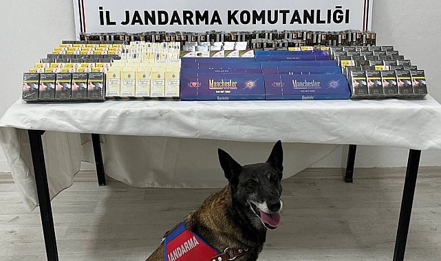 Kayseri'de 500 paket kaçak sigara ele geçirildi