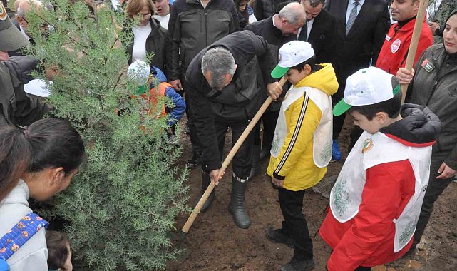 Keşan'da yangından zarar gören ormanlık alana 2 bin çam fidanı dikildi