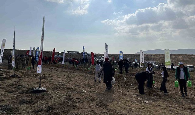 Konya'da 33 bin 811 fidan toprakla buluştu