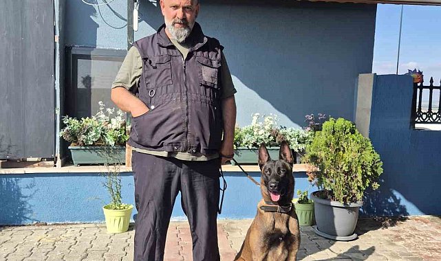 Köpek eğitmeni Eren Ay: "Köpekler kötü değildir, kötü eğitim vardır"