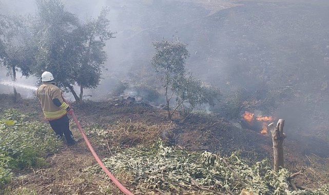 Kumlu'da bahçe yangını