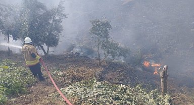 Kumlu'da bahçe yangını