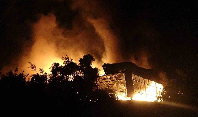 Kundakçı komşu hakim karşısına çıktı: 'Çok pişmanım' savunması yaptı