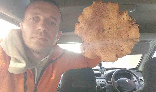 Kütahya'da bulunan dev mantar şaşırttı