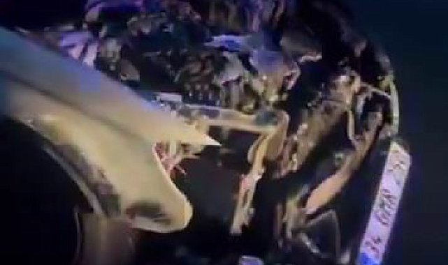 Lüks araç alevlere teslim oldu