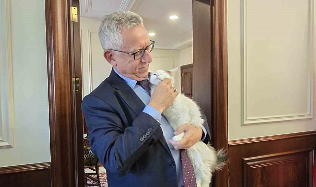 Makamında kedi besleyen Başkan Arslan, hayvan dostu projeleriyle de örnek oluyor