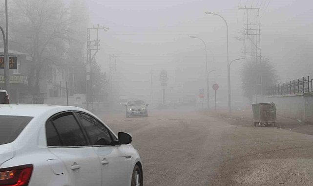 Malazgirt'te sis etkili oldu