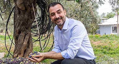 Manavgat Zeytin ve Zeytinyağı Festivali'nin ikincisi 8 Kasım'da başlıyor