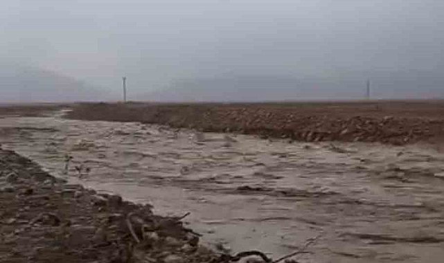 Mardin'de sağanak yağış sonucu dere taştı