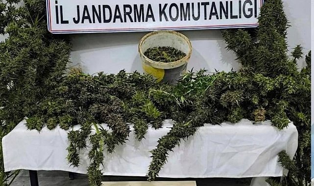 Mardin'de uyuşturucu operasyonunda 3 tutuklama