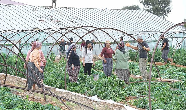 Mersin'de fırtına ve hortum seralara zarar verdi