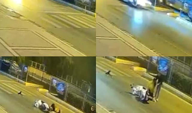 Mersin'de motosiklet kazasında köpeğin sadakati duygulandırdı