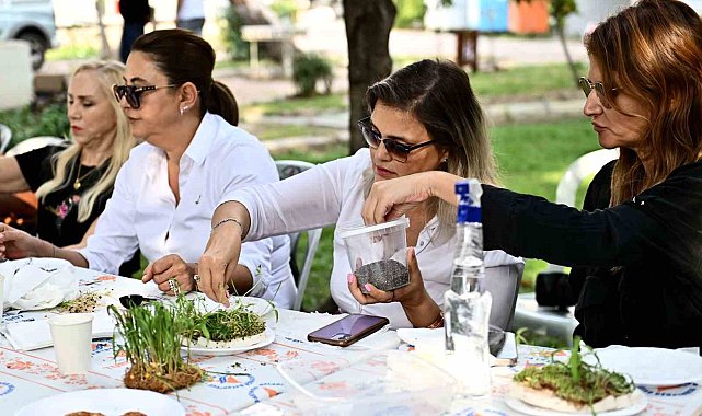 Mikro yeşilliklerle minyatür bahçeler oluşturdular