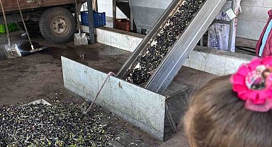 Minikler zeytinin ağaçtan sofraya uzanan serüvenini uygulamalı öğrendi