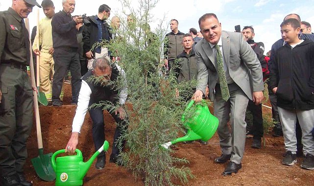 Muğla'da 33 bin fidan toprak ile buluştu