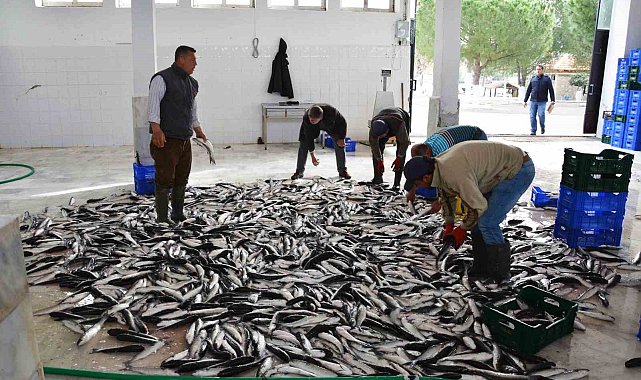 Muğla'dan 10 ayda 618 milyon dolar balık ihracatı