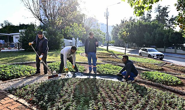 Muratpaşa'da Trafik Parkı çiçek bahçesine dönüştü