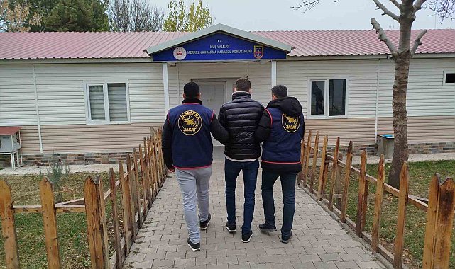 Muş'ta dolandırıcılık suçundan aranan hükümlü yakalandı