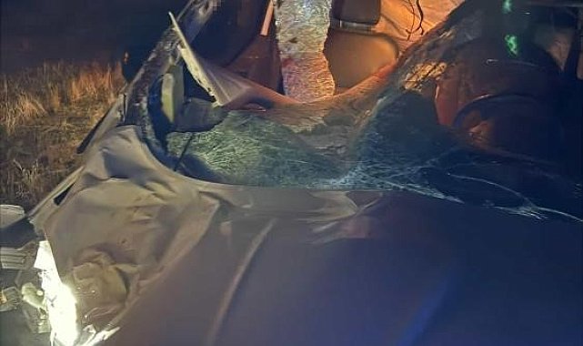 Muş'ta hafif ticari araç ata çarptı: 2 yaralı