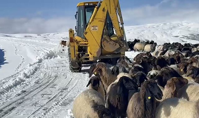 Muş'ta yoğun kar yağışı