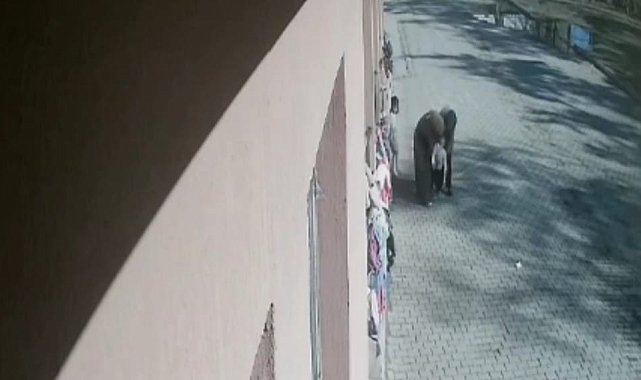 Öğrencisinin boğazına kaçan şekeri heimlich manevrasıyla çıkardı