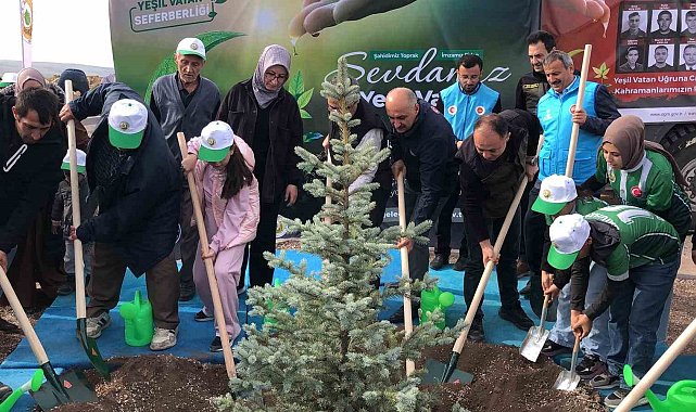 Orman şehidi Eyüp Dereli adına oluşturulan alana 15 bin fidan dikildi